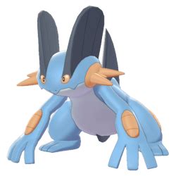 swampert serebii